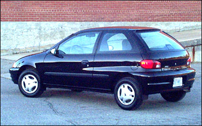 Blackfly rear