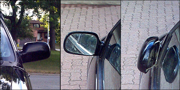 Blackfly mirror after